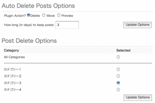 Auto Delete Posts設定イメージ